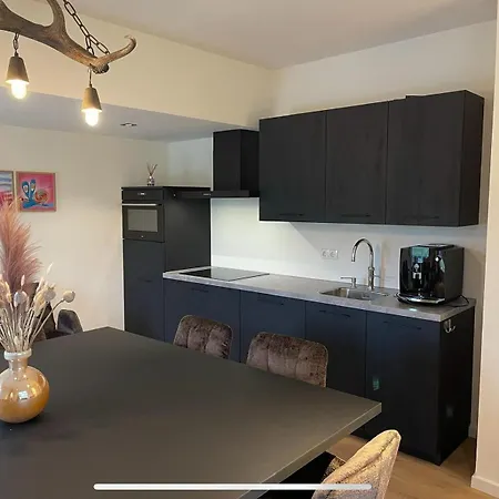 Heidebloem Max. 12 Personen Dom wakacyjny Lievelde