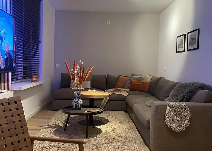 Heidebloem Max. 12 Personen Semesterbostad Lievelde