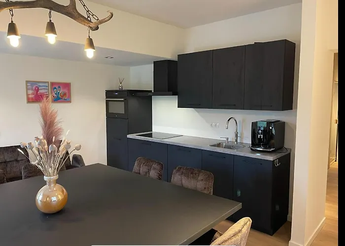 Heidebloem Max. 12 Personen Semesterbostad Lievelde